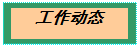 文本框: 工作动态