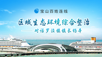 对话罗泾镇镇长杨辛.jpg