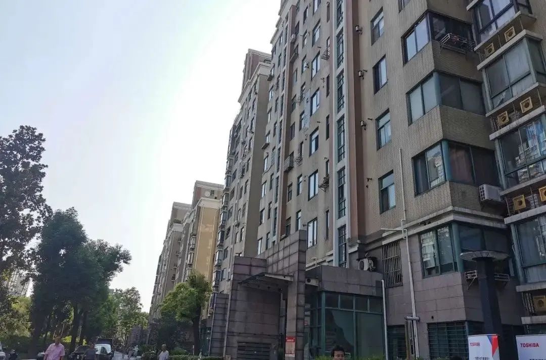CMP_20250822111212408.jpg