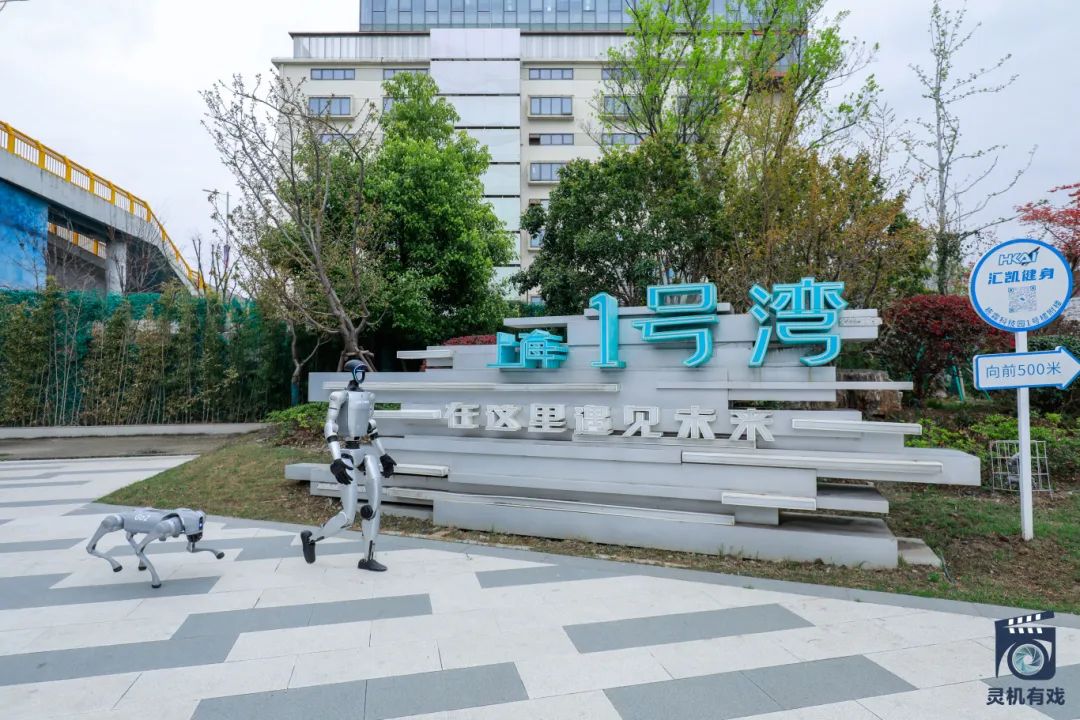_79A2012-opq3542060634.jpg