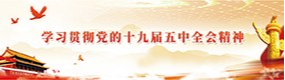 学习贯彻党的十九届五中全会精神