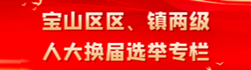  宝山区区、镇两级人大换届选举专栏