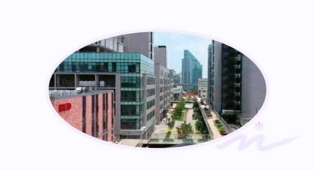 1642992119(1).png