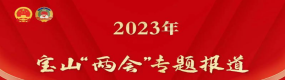 2023年宝山“两会”专题报道