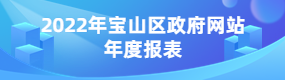 2022年宝山区政府网站年度报表