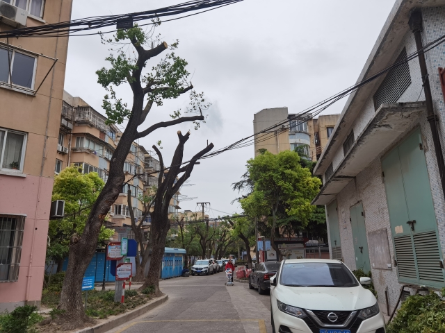 微信图片_202304230853402.jpg