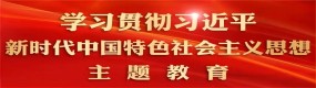 学习贯彻习近平新时代中国特色社会主义思想主题教育