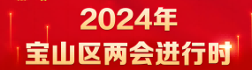 2024年宝山区两会进行时