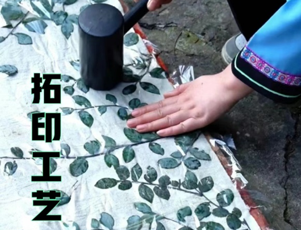 第二期本草 (3).png