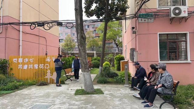 小花园.jpg