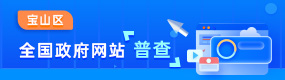 宝山区政府网站普查