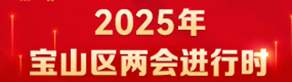 2025年宝山区两会进行时