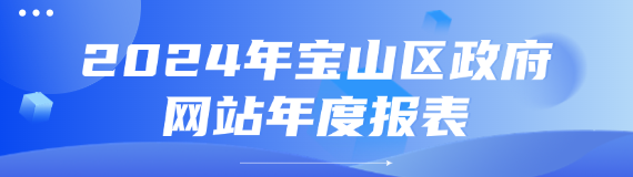 2024年宝山区政府网站年度报表