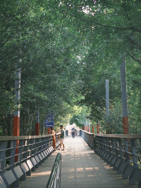 0904_104437_243.jpg